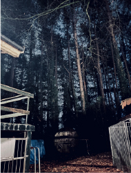 Mistress Henriette - Torture Cell