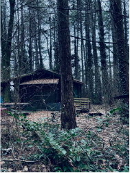 Mistress Henriette Reform School