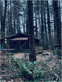 Black Site Belgium