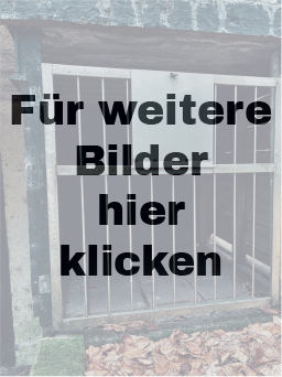 Black Site Belgium