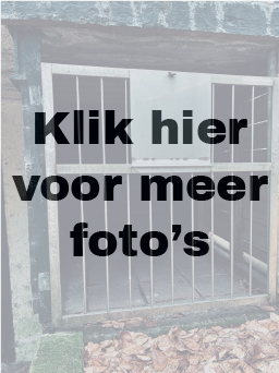Black Site Belgium