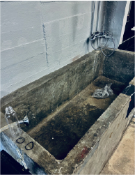 Mistress Henriette Reform School