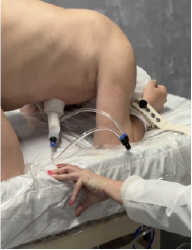 Mistress Henriette - Boudoir BDSM